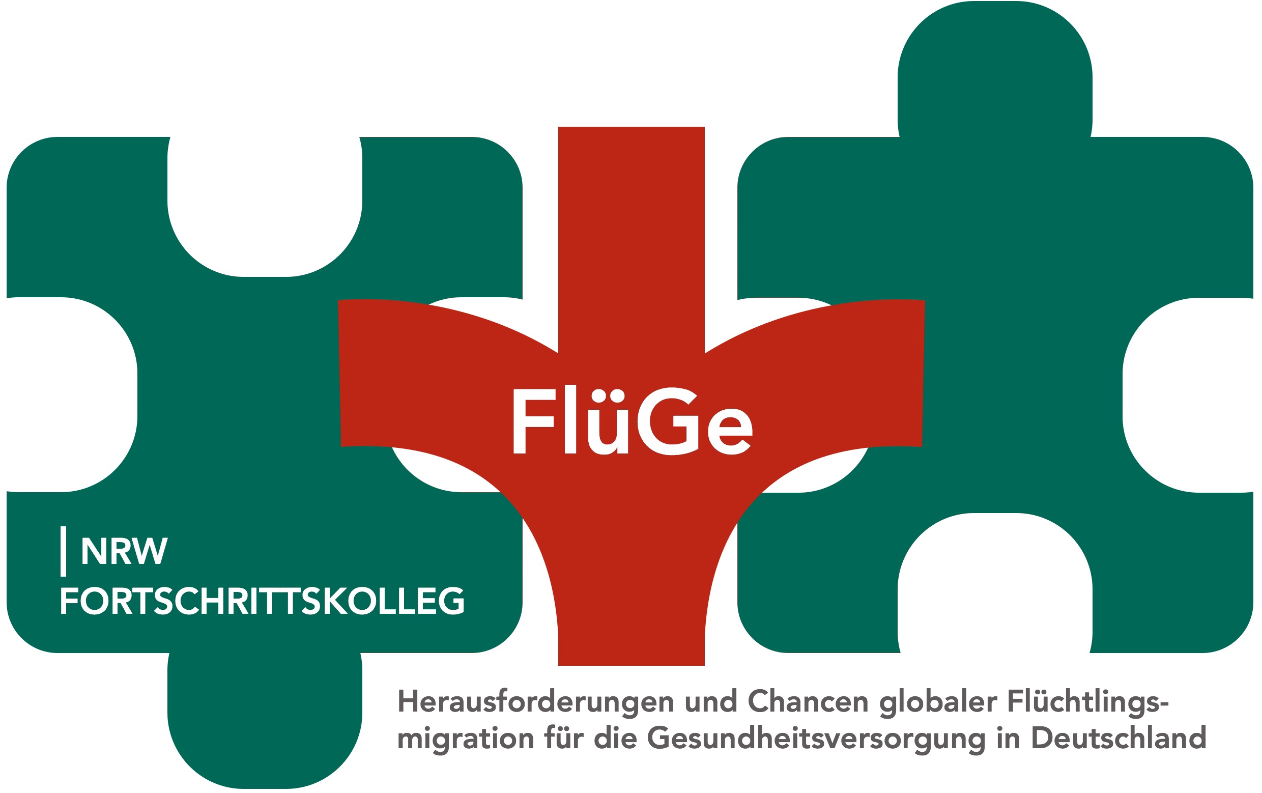 Opportunities and challenges of global refugee migration for health care in Germany